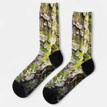 Chaussettes. Dessin champignons Queue de dinde