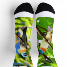 Chaussettes Lazuli Bunting