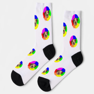 Chaussette Chaussettes photo animal de compagnie modèle