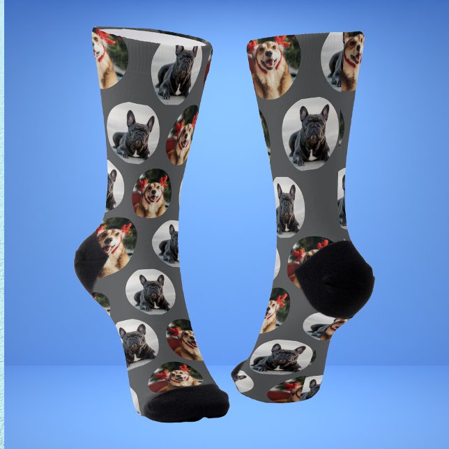 Chaussette Chaussettes photo pour chien 2 animal de compagnie (Créateur téléchargé)