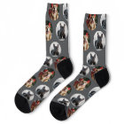 Chaussettes photo pour chien 2 animal de compagnie