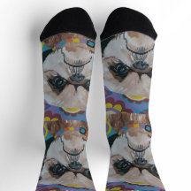 Chaussettes Shi Tzu Crew