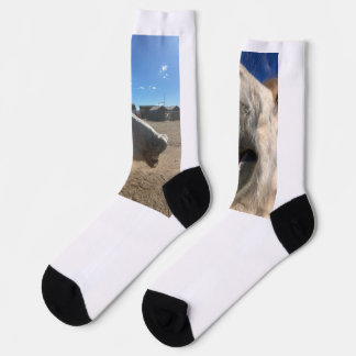 Chaussette Chaussettes Sourires de Cheval