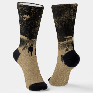 Chaussette Cheval Racing Muddy Track Grunge