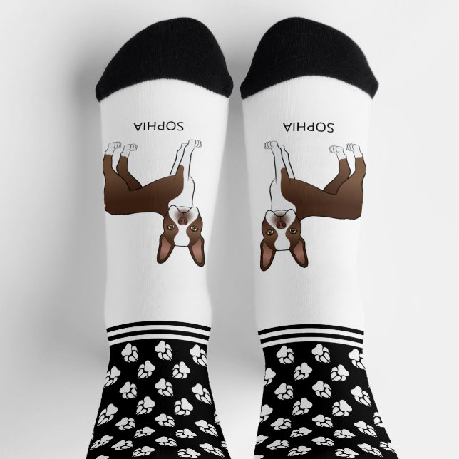 Chaussette Chocolat Brown Boston Terrier Avec Le Nom Et Les P (Haut)