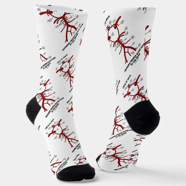 Chaussette Circle of Willis Providing Proper Blood Flow (Angulaire)