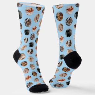 Chaussette Collage personnalisé pour animaux de compagnie de