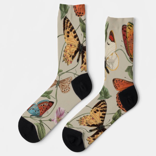 Chaussette Collection de la papillon Moth Nature Dessin (Gauche)