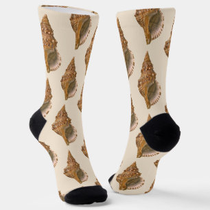 Chaussette Coquille de Triton, Coquillage Marin Vintage Anima