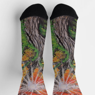 Chaussette crazy art chausettes