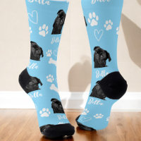 Cute Amoureux des chiens animal bleu photo
