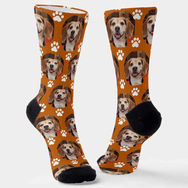 Chaussette Cute Burnt Orange Animaux de compagnie Photo & Emp (Angulaire)