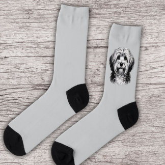 Chaussette Dog Drawing