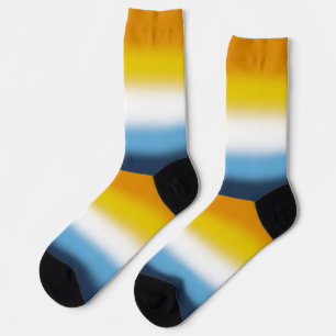 Chaussette Drapeau de fierté Gradient AroAce