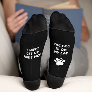 Chaussette Empreinte de patte de chien blanc et chaussettes t