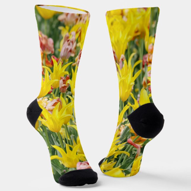 Chaussette Et La Vie Continue (Angulaire)