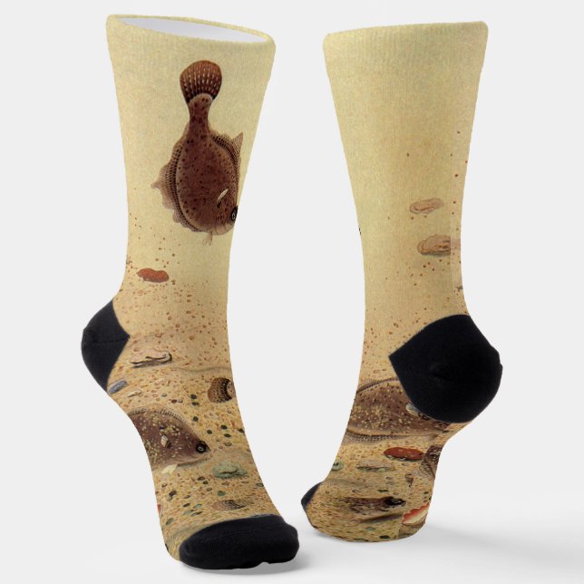 Chaussette Flounders or Flat Fish, Vintage Marine Ocean Life  (Angulaire)