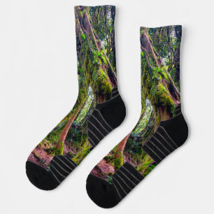 Chaussette Forêt moussue