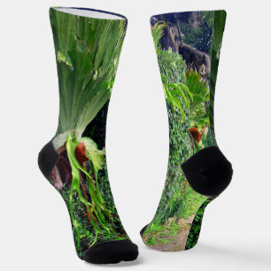 Chaussette Fougères de Staghorn sur un mur, chaussettes d'équ