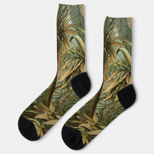 Chaussette Fougères Palmier Antique Botanique Fougères Art