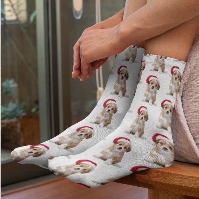 Chaussette Funny Custom Pet Photo Socks (Créateur téléchargé)