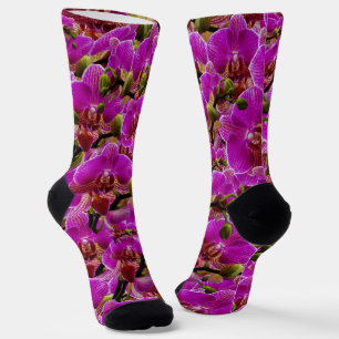 Chaussette Grappes radieuses : La Symphonie de l'Orchidée Mag