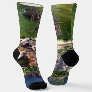 Chaussette Hippopotames Dans Un Étang, Chaussettes D'Équipage