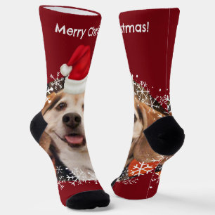 Chaussette Joli animal de compagnie photo Red Santa Hat Joyeu