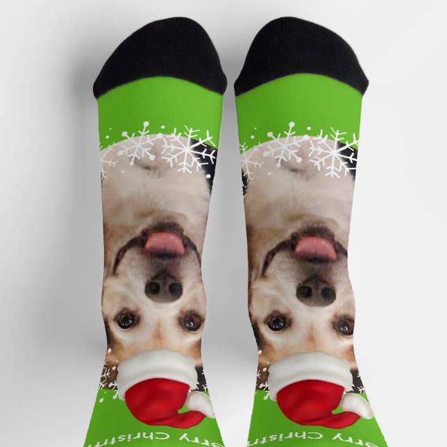 Chaussette Joli animal de compagnie photo Santa Hat Bright Gr (Haut)