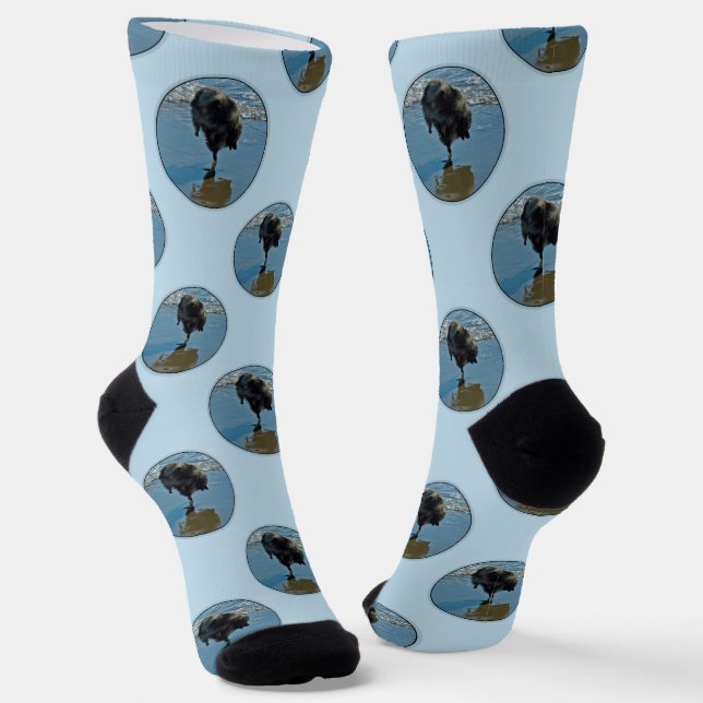 Chaussette Keeshond Ballet Photographie de mignonette Chien d (Angulaire)