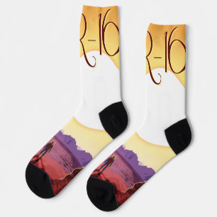 Chaussette Kepler-16b : Coucher de soleil solaire binaire Fin