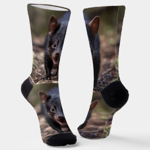 Chaussette Le jeune Diable de Tasmanie,