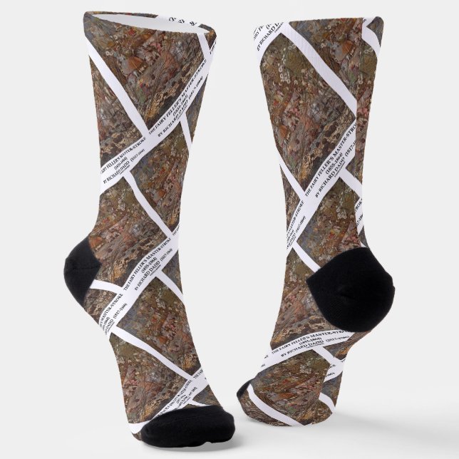 Chaussette Le Maître-Trame de Feller de Richard Dadd (Angulaire)