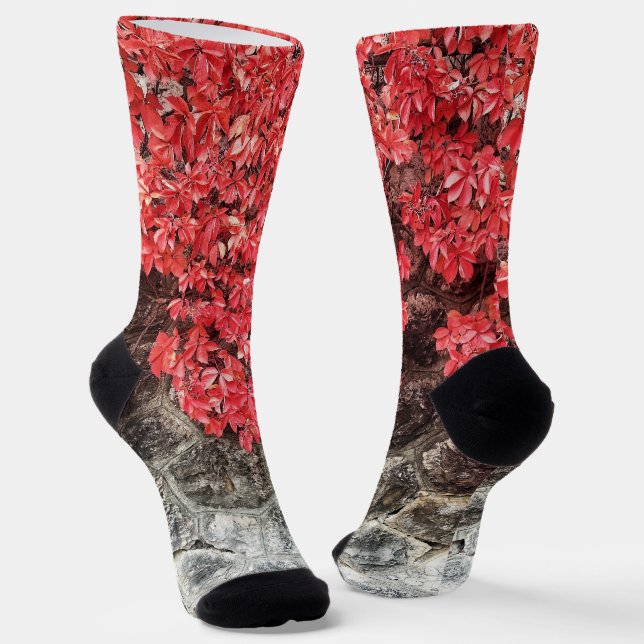 Chaussette Lierre rose rouge gris feuilles automne photo abst (Angulaire)