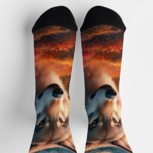 Chaussette Loups au coucher du soleil / Amants du loup