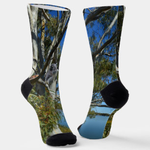 Chaussette L'Ours De Koala Dormait Dans Un Arbre De Gomme,