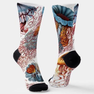 Chaussette Méduses anciennes par Ernst Haeckel, Discomedusae