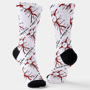 Chaussette Mon Cercle De Willis Circulation Anatomique Du San