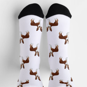 Chaussette Motif de dessin de chien Red and White Boston Terr