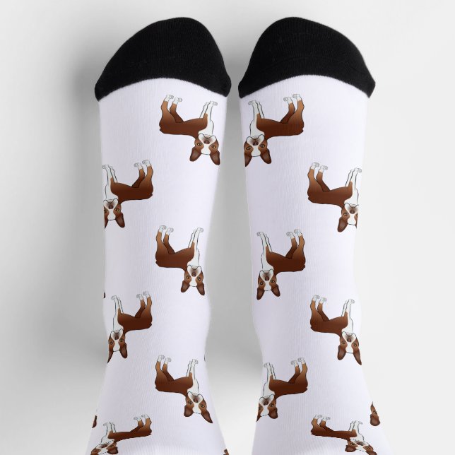 Chaussette Motif de dessin de chien Red and White Boston Terr (Haut)