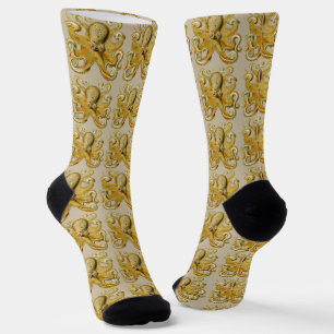 Chaussette Octopus illustration antique monstre marin