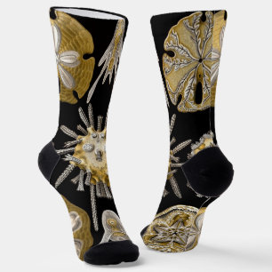 Chaussette Oursins Anciens Dollars de Sable par Ernst Haeckel