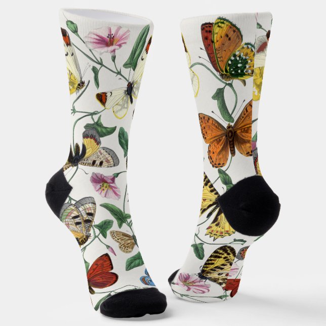 Chaussette Papillons & Moths 2 (Angulaire)