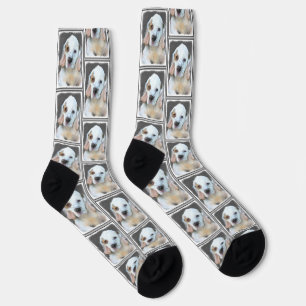 Chaussette Peinture de Chien d'Art original de Peinture de Ch