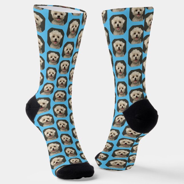 Chaussette Personnalisé Cute Pet Photo Motif Bleu clair (Angulaire)