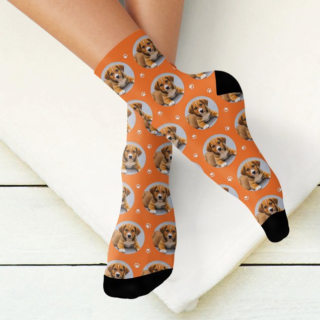 Chaussette Photo de chien personnalisé Empreinte de patte ora (Créateur téléchargé)