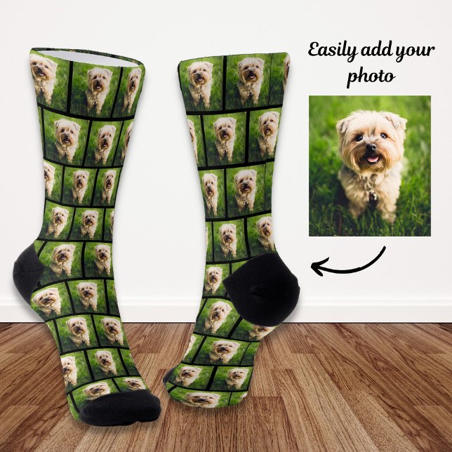 Chaussette Photo personnalisée pour animal de compagnie de ch (Créateur téléchargé)