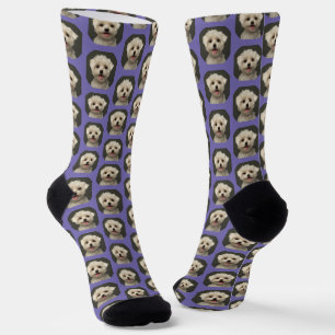 Chaussette Photo pour animaux de compagnie sur Lavender tenda