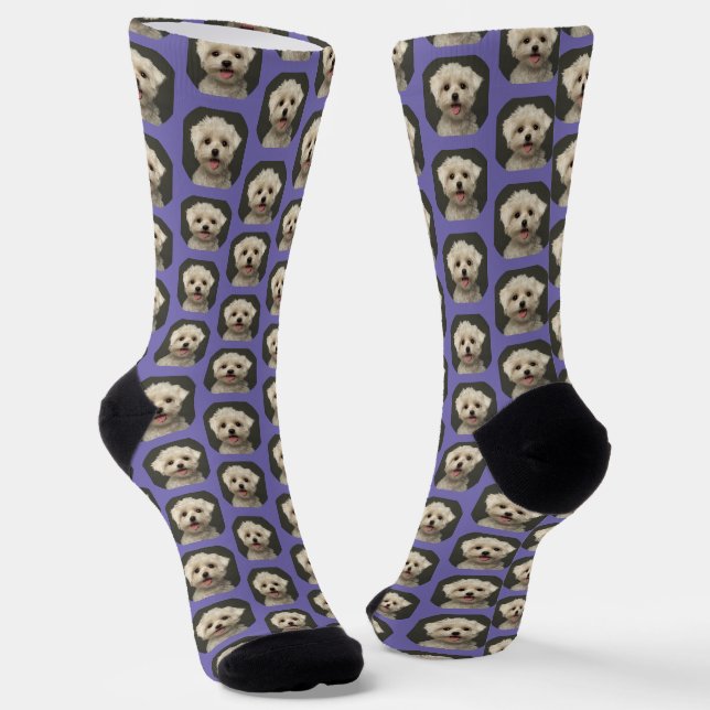 Chaussette Photo pour animaux de compagnie sur Lavender tenda (Angulaire)