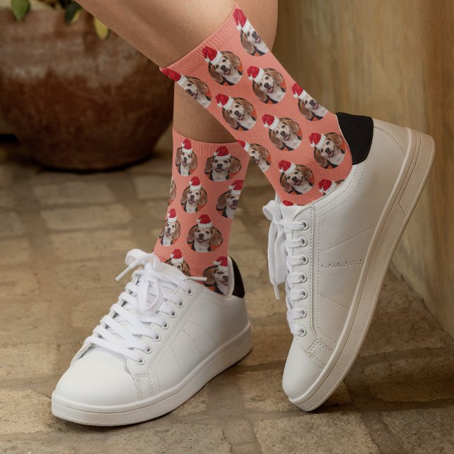 Chaussette Photo pour animaux domestiques et chapeaux de Père (Créateur téléchargé)